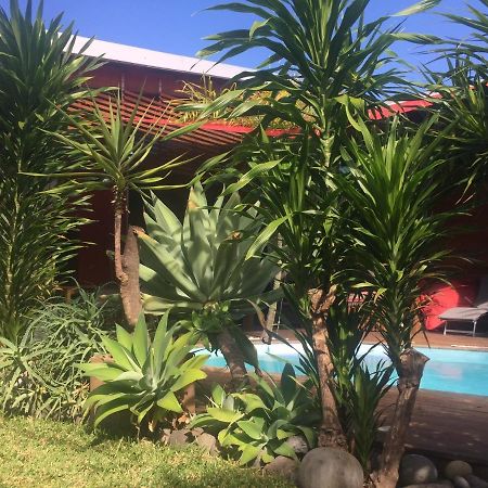Ti Koin Trankil Belle & Spacieuse Villa Tropicale سانت بيير المظهر الخارجي الصورة
