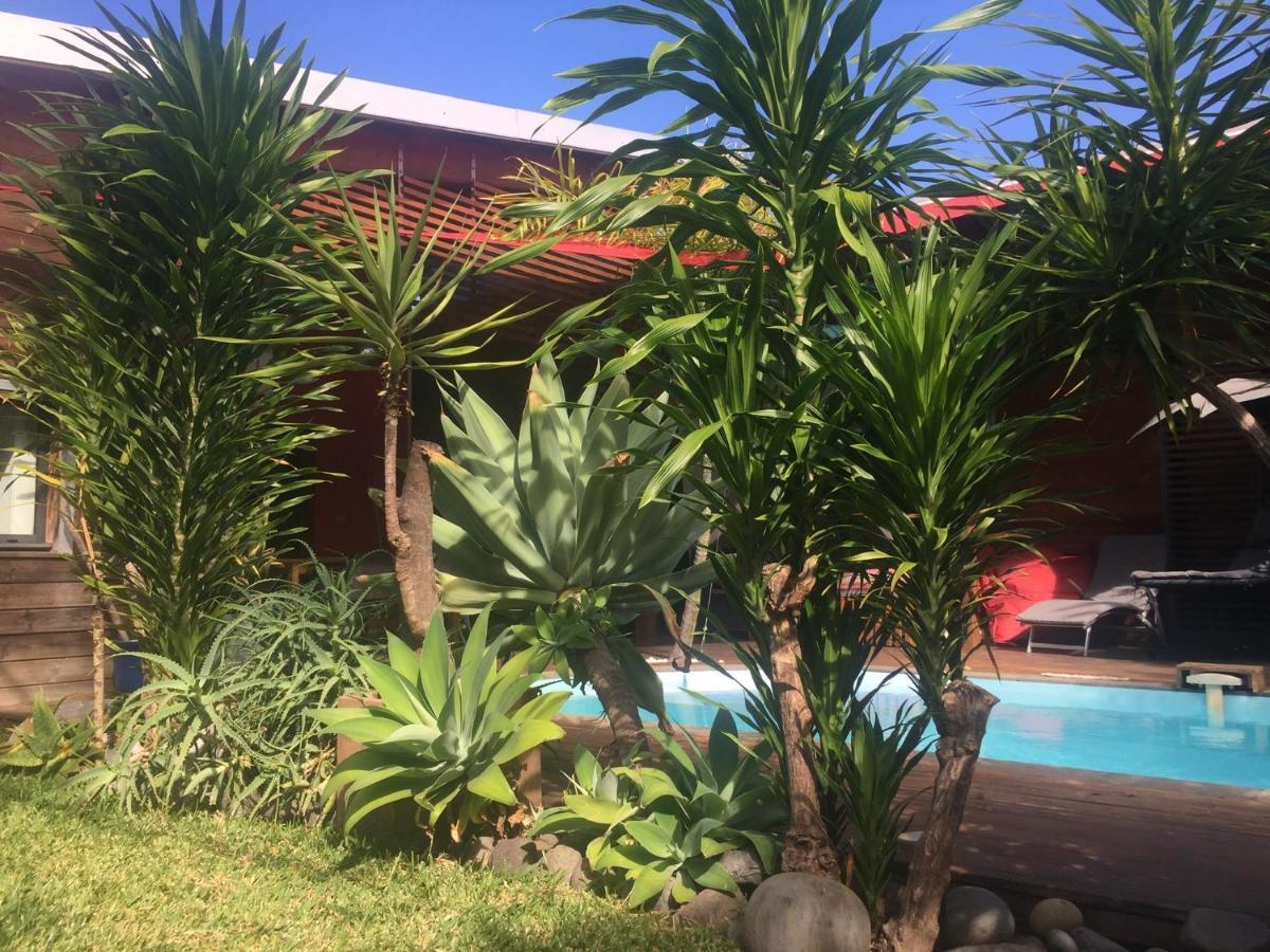Ti Koin Trankil Belle & Spacieuse Villa Tropicale سانت بيير المظهر الخارجي الصورة